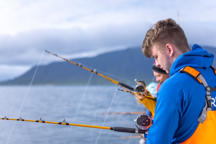 Sea Fishing Experience from Reykjavik