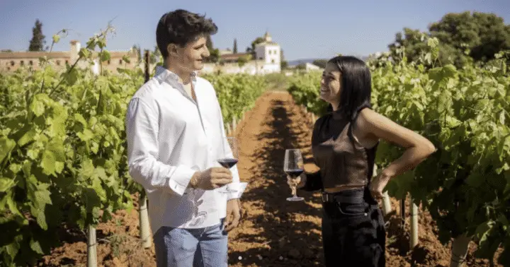Valencia: tour por bodega Requena con cata de vino y refrigerios