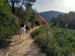 Paseo a caballo por Randa