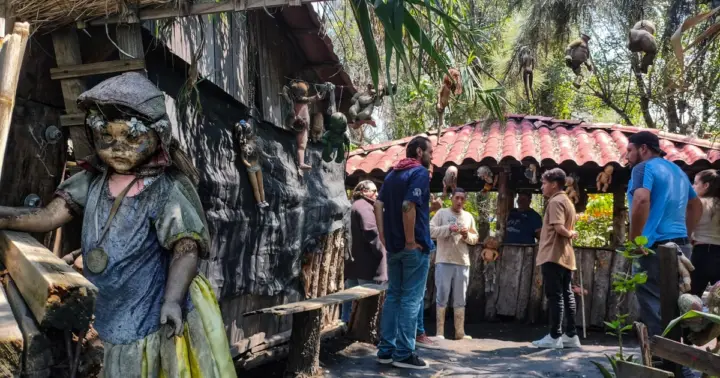Xochimilco: tour original por la Isla de las Muñecas y los ajolotes