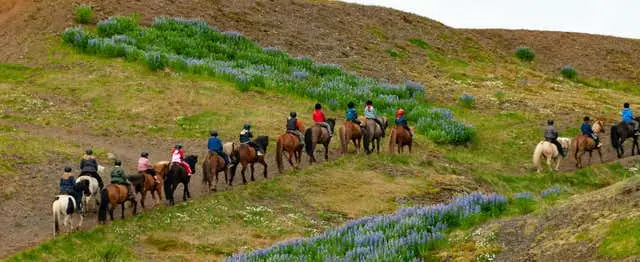 Golden Circle & Horse Riding Tour