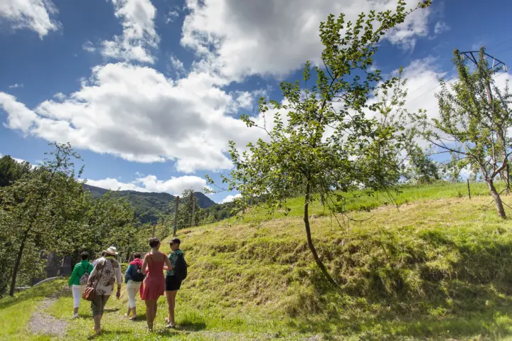 San Sebastián: tour por una sidrería tradicional con almuerzo