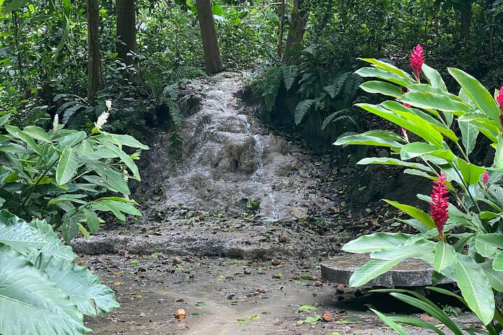 Cartagena: Avistamiento de fauna y flora en el jardín botánico.