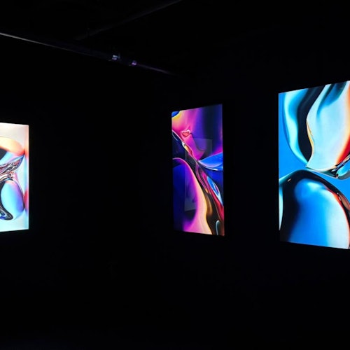 Galería y exposición P61: Entrada de Dimensiones Digitales
