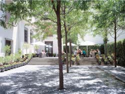 Entrada al Museo Picasso Málaga