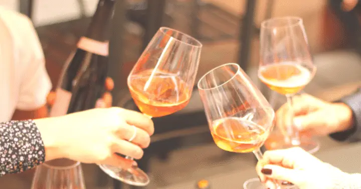 Bologna: City Center Guided Wine Experience
