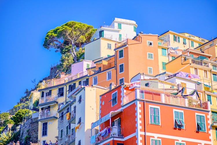 Cinque Terre National Park full-day tour from Milan