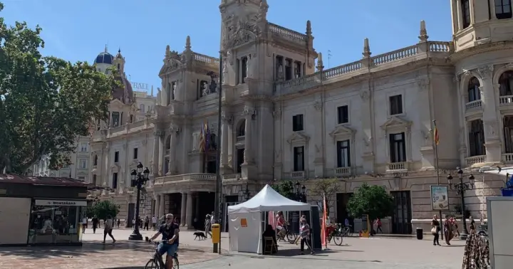 Desde Albir, Benidorm y Calpe: excursión de 1 día a Valencia