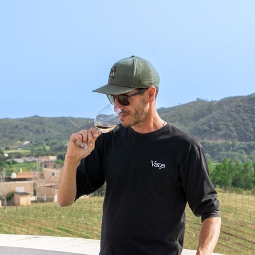 Algarve: Ruta Guiada del Vino en Grupo Reducido + Exploración de Silves