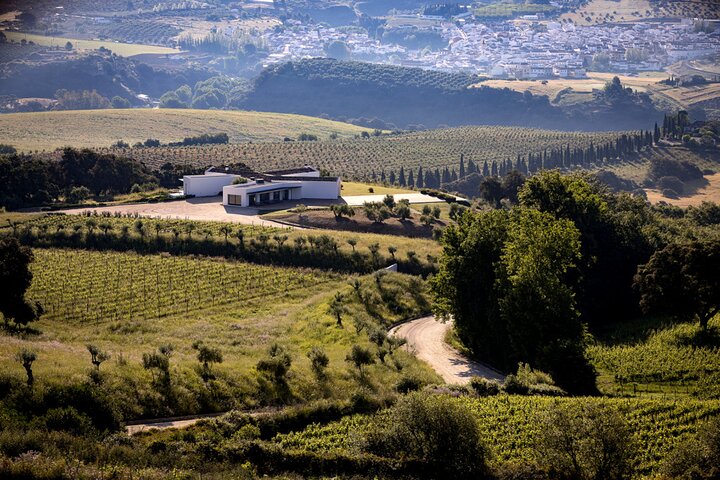 Tour Ecológico por Bodega de Vinos en Ronda con Degustación