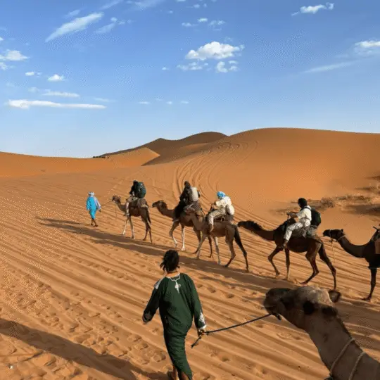 Desde Marrakech: excursión de 3 días al desierto de Merzouga y paseo en camello.