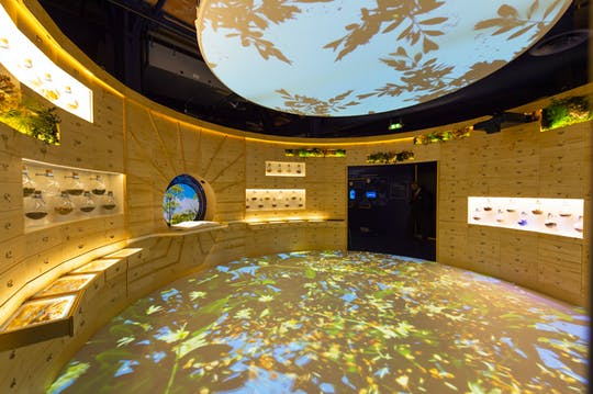 Museo del Anís y Provenza con experiencia 4D Mehari