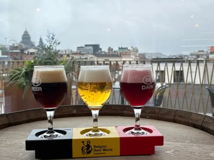 Bruselas: entrada a la azotea con cata de tres (3) cervezas belgas