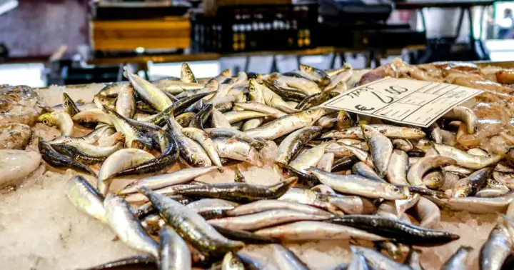 Venecia: tour de comida callejera y catas en el mercado de Rialto