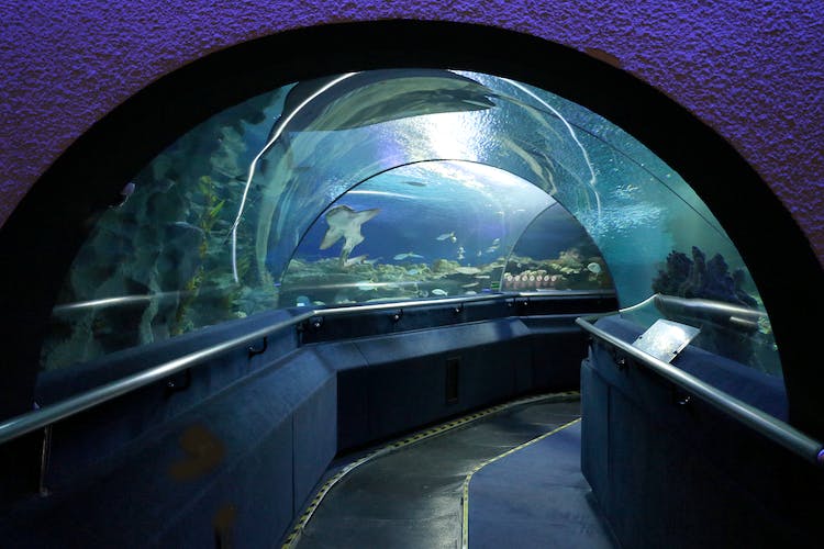 Entrada Aquaria KLCC Kuala Lumpur