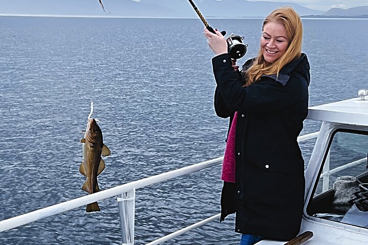 Reykjavik's Finest Catch: Guided Sea Angling Tour for All Levels