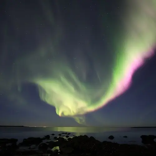 Aurora Boreal: Visita guiada para grupos pequeños con fotos gratuitas