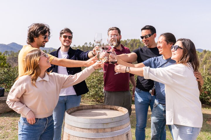 Tour de día completo a Montserrat con almuerzo en granja y visita a bodega