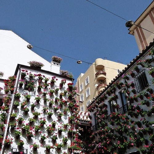 Bus turístico Córdoba