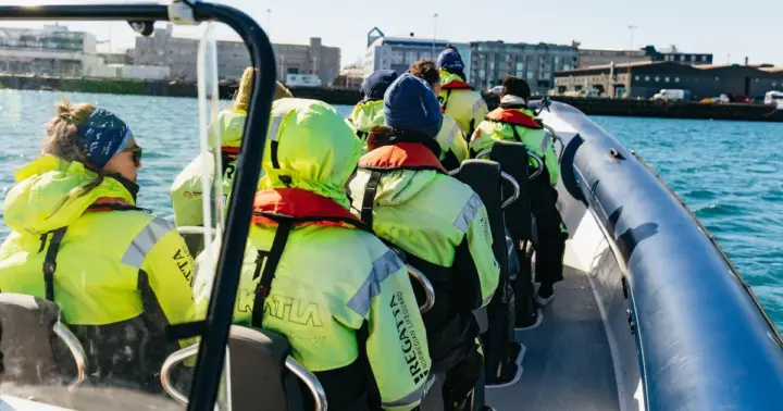 Reykjavik: Whale Watching Tour by RIB Boat