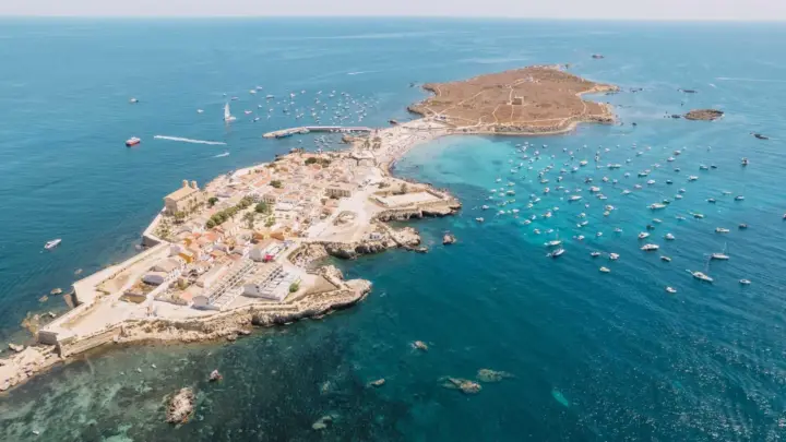 Desde Valencia: Isla de Tabarca el paraíso mediterráneo + ferri incluido