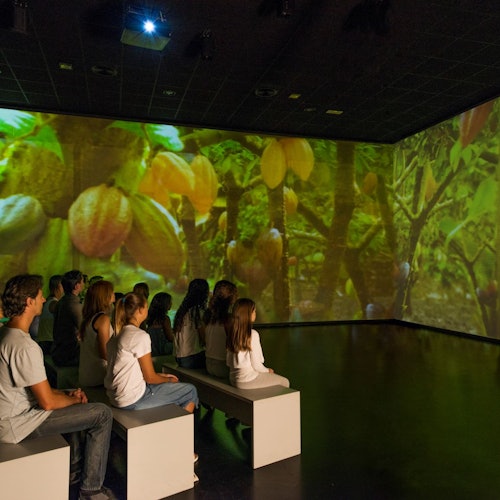 Espai Xocolata Simon Coll: Visita guiada