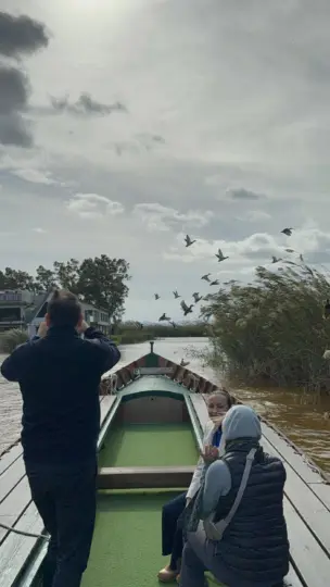 Albufera Valencia: Guided electric boat ride, also sunset