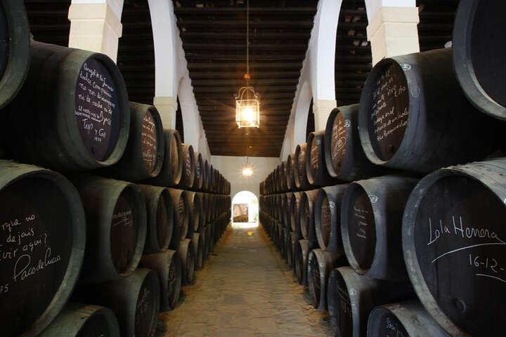 Tour Bodegas de Jerez y degustación de vinos