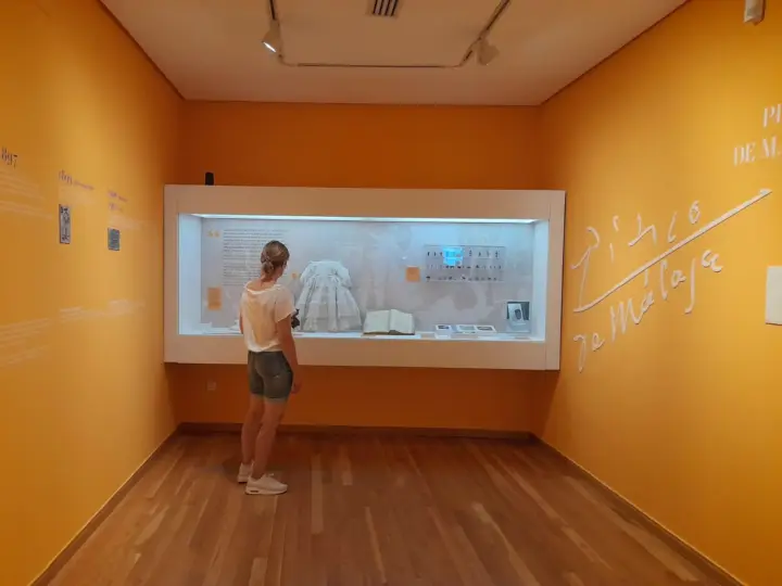 Málaga: Entrada Museo Casa Natal de Picasso