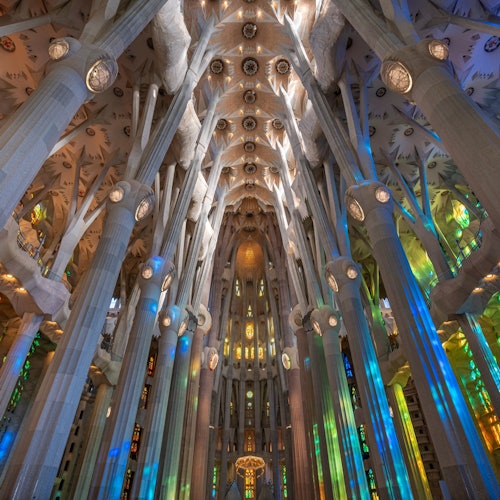 Sagrada Familia: Acceso rápido + Bus turístico de Barcelona