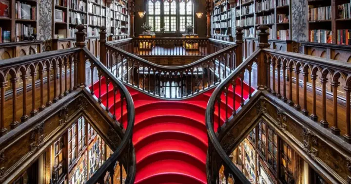 Porto: Visit the Lello bookshop and take a cruise