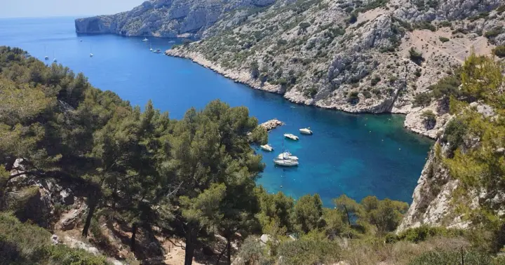 Marsella: Senderismo guiado Parque Nacional de las Calanques desde Luminy