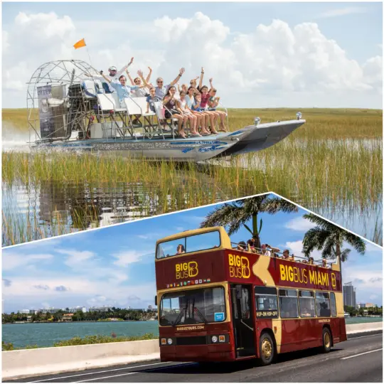 Miami Combo: Everglades Experience and Hop-on Hop-off Tour