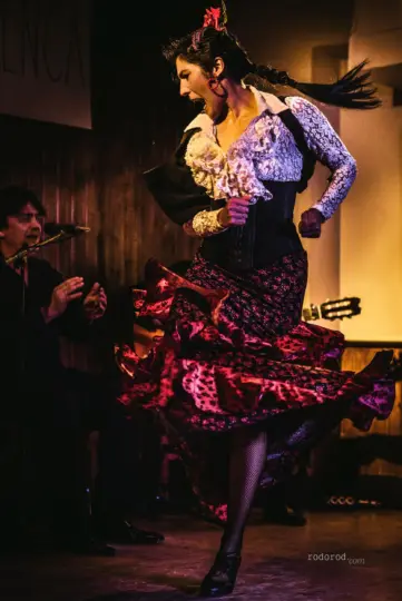 Madrid: Local Flamenco Show at El Cortijo with Tapas Option