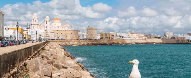 Tour privado por Cádiz ¡Tú eliges!