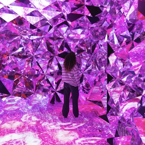 Museo Wondersense: Entrada