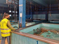 Tour por el puerto de Vigo + Visita a un vivero de marisco