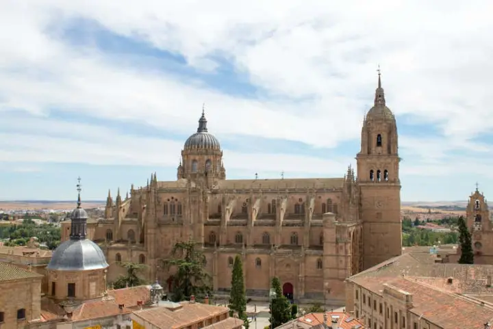 Visita guiada por la catedral de Salamanca