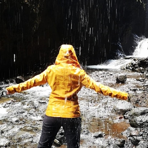 South Iceland: Waterfalls Exploration Guided Tour