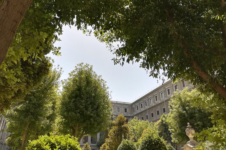 Excursión en grupo pequeño al Museo Reina Sofía - 6 personas máximo -