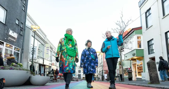 Reikiavik: tour turístico a pie con un vikingo