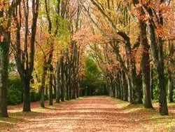 Serralves Foundation Tickets