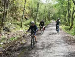 Tour en bicicleta por la Vía Verde Vasco-Navarro