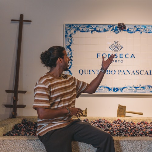 Bodega de Vino de Oporto Fonseca: Visita Autoguiada + Degustación