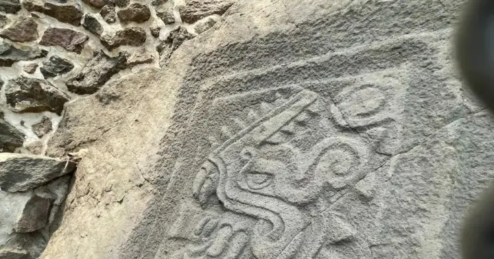 Xochimilco: chinampas, ajolotes y yacimiento arqueológico de Cuahilama