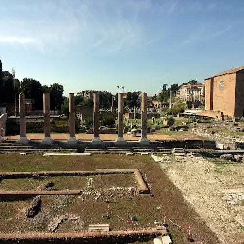 Pase a las Ruinas Romanas: Entrada al Foro Romano y Monte Palatino