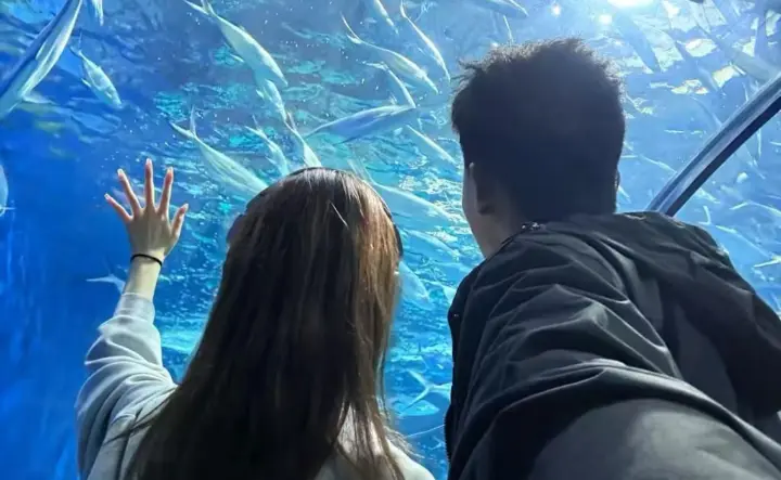 Osaka: Kaiyukan Couple Ticket & Romantic Digital Guide