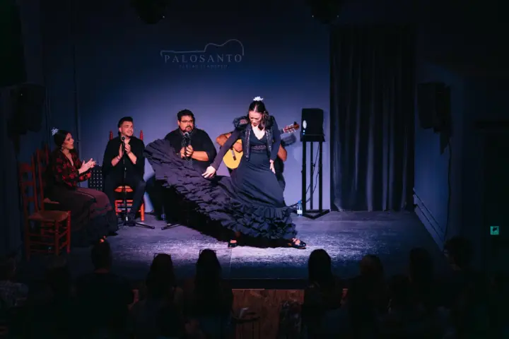 Valencia: Entrada Espectáculo Flamenco Palosanto