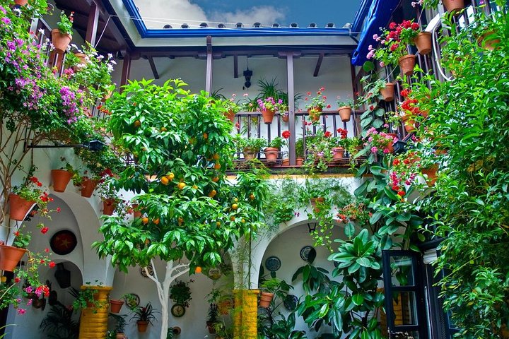 Mezquita y Catedral de Córdoba desde Sevilla