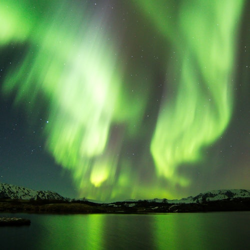 Reykjavik: Northern Lights Boat Tour